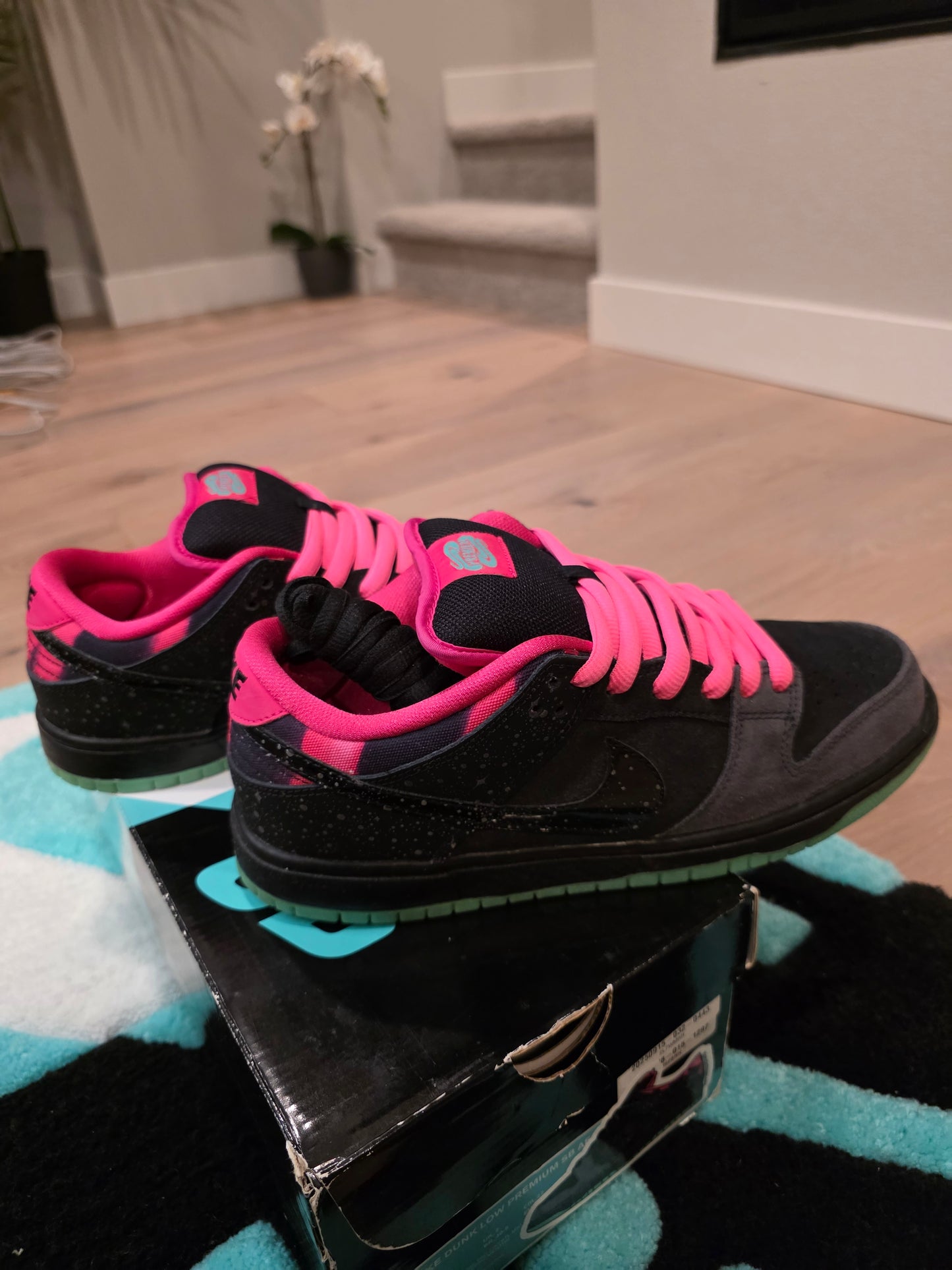 Nike SB Dunk Low Premier Northern Lights