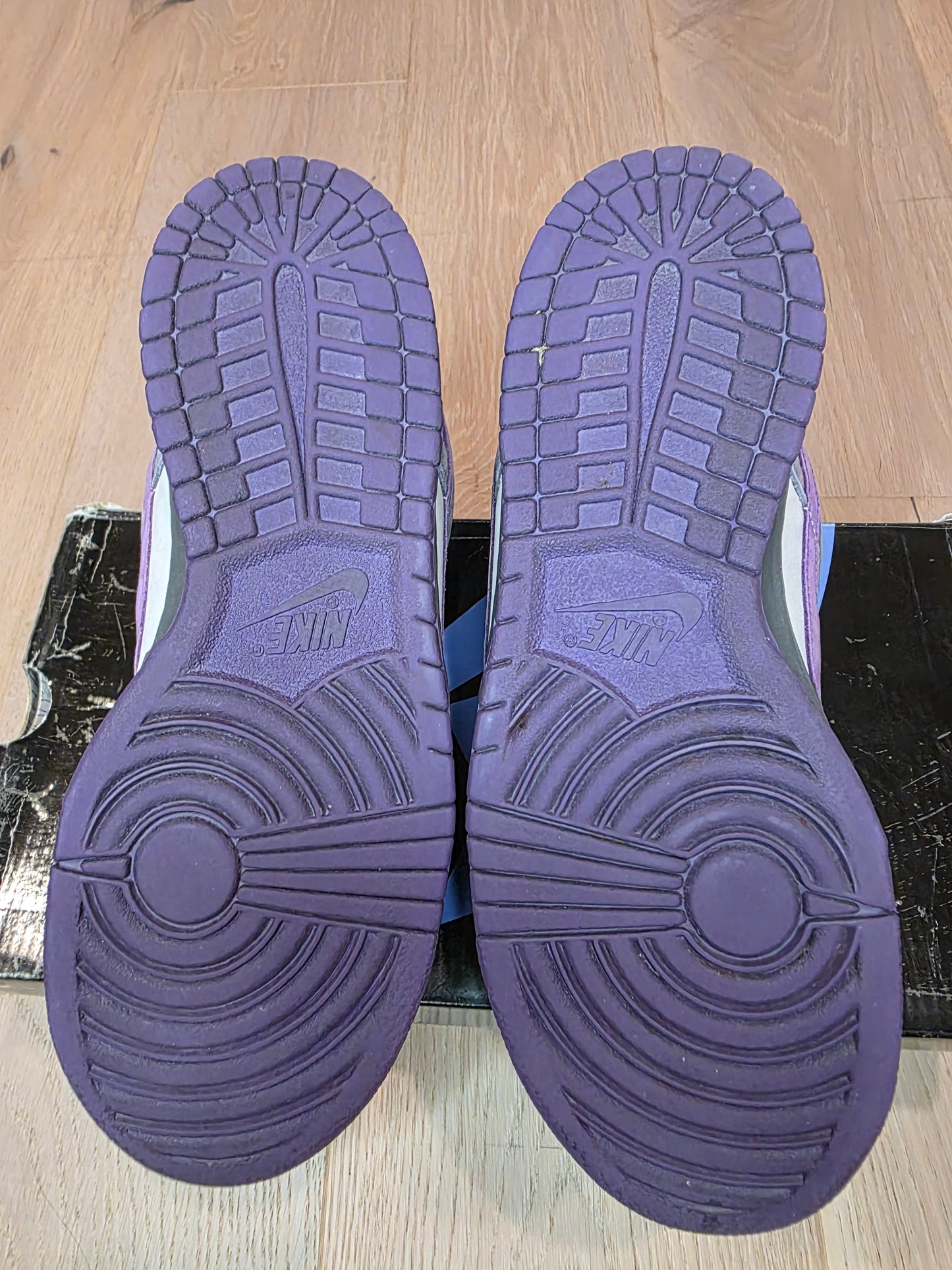 Nike SB Dunk Low Purple Pigeon