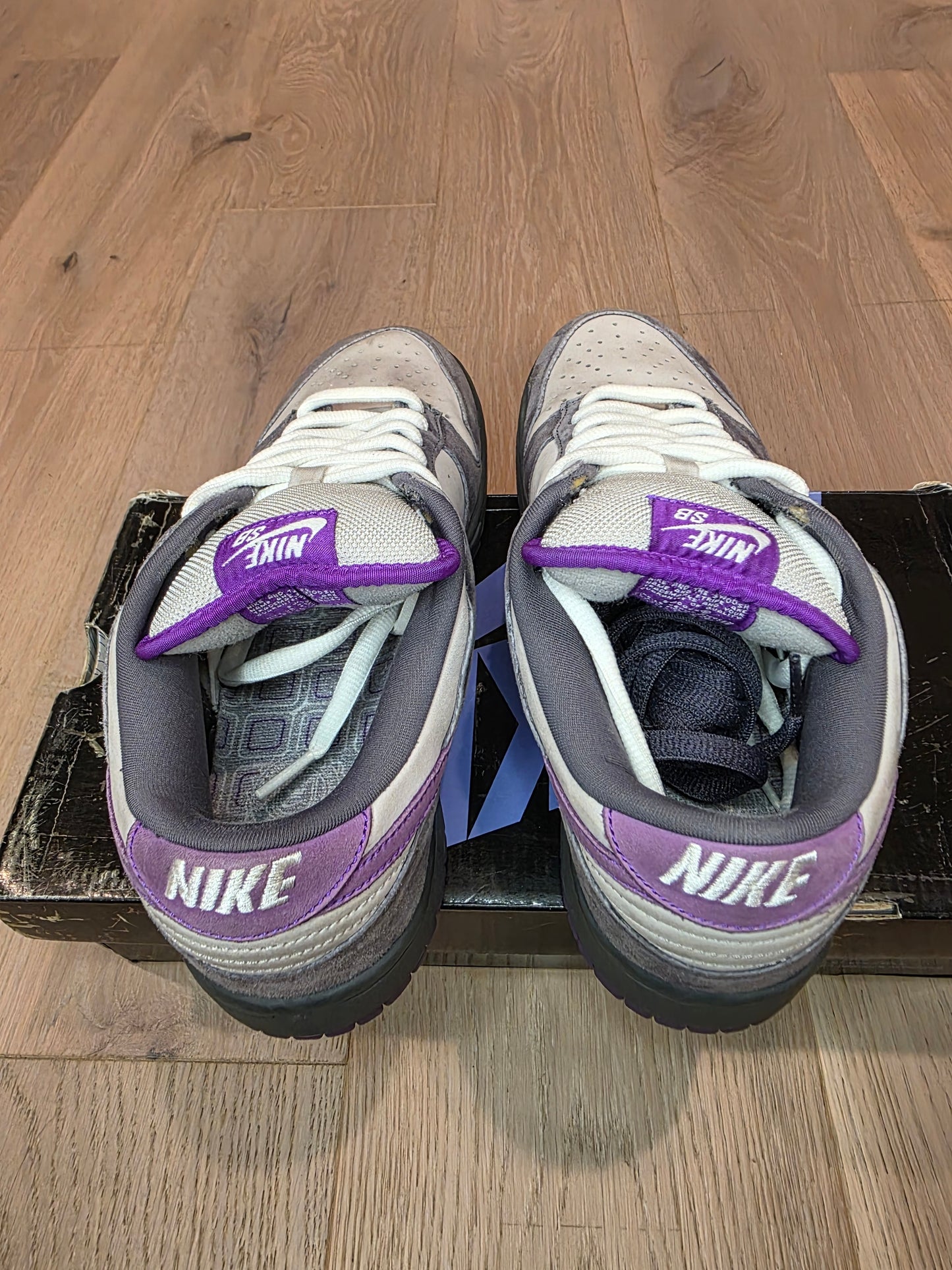 Nike SB Dunk Low Purple Pigeon